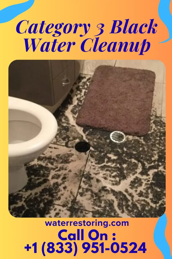 Category 3 Black Water Cleanup in Othello, NJ