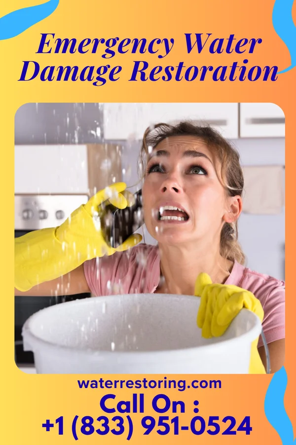 Emergency Water Damage Restoration in Othello, NJ