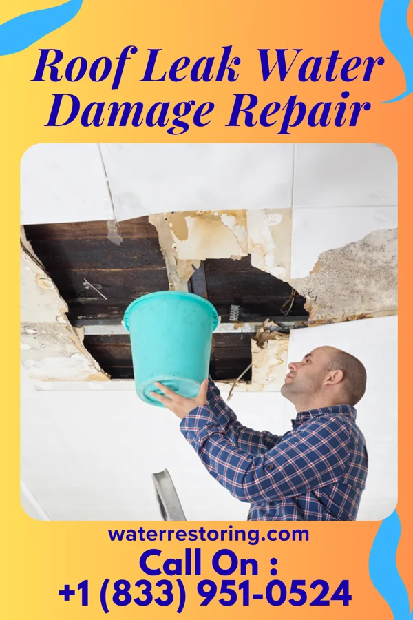 Roof Leak Water Damage Repair in Othello, NJ