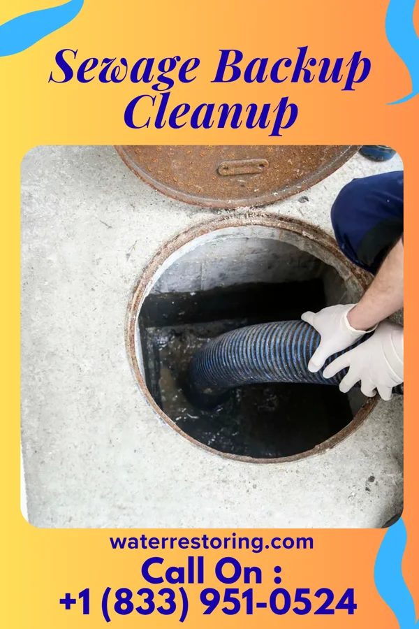 Sewage Backup Cleanup in Othello, NJ