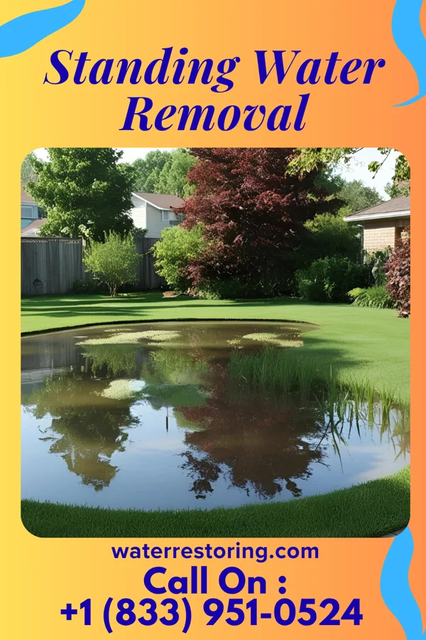 Standing Water Removal in Othello, NJ